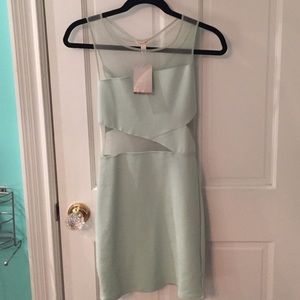 Urban Outfitters- Silence+noise mesh bodycon dress